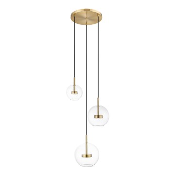 Zuma Line - Lámpara LED colgante 3xLED/5W/230V dorado