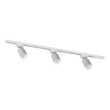 Zuma Line - Luminaria puntual para sistema de carril 3xGU10/35W/230V blanca