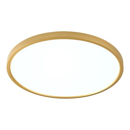 Zuma Line - Lámpara de techo LED 36W 230V, 3000/4000/6000K, Ø 40 cm, acabado dorado